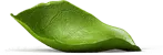 AHŞAP HAVUZ